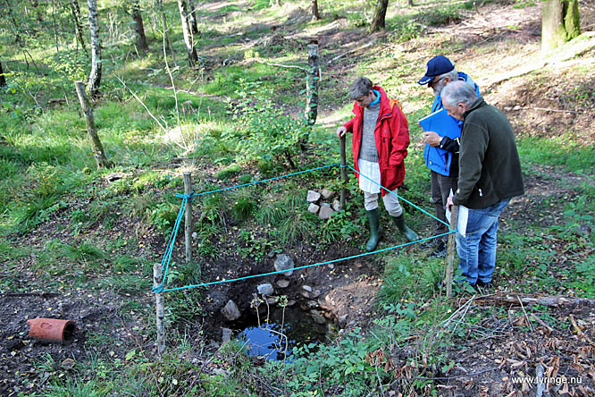 Källan vid Sanatorieskogen - Foto Bert Wilnerzon