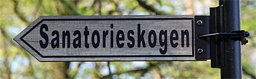 Sanatorieskogen i Tyringe, foto Bert Wilnerzon