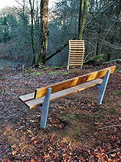 Sanatorieskogen i Tyringe - Foto Bert Wilnerzon