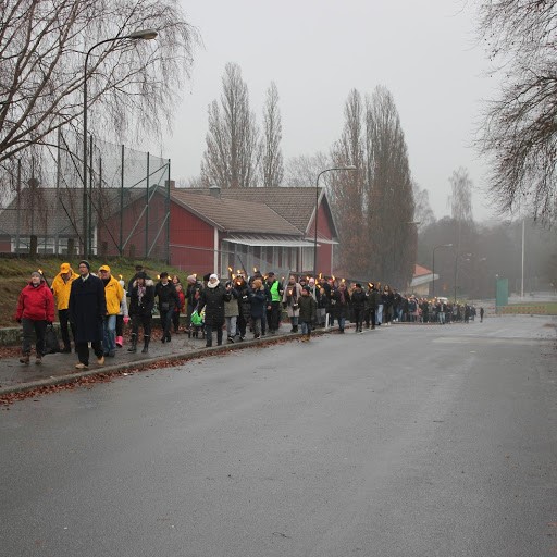 Tyringe, foto Olle Nyström